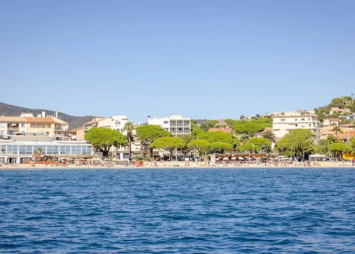 Le Riviera-1 By Interhome Sainte-Maxime